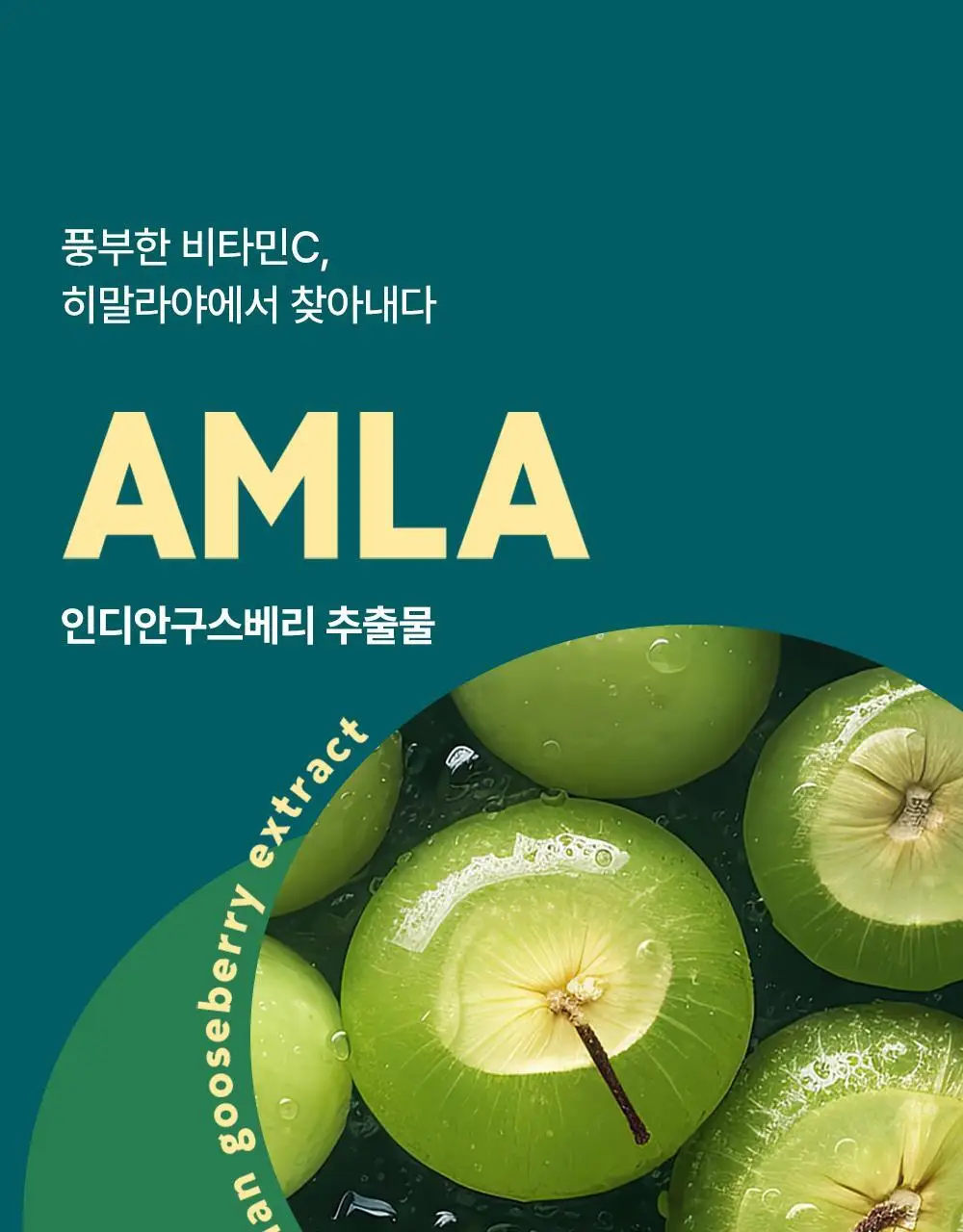 히말라야 파티스마트 저당 츄 [망고맛] 2P 상세페이지 15